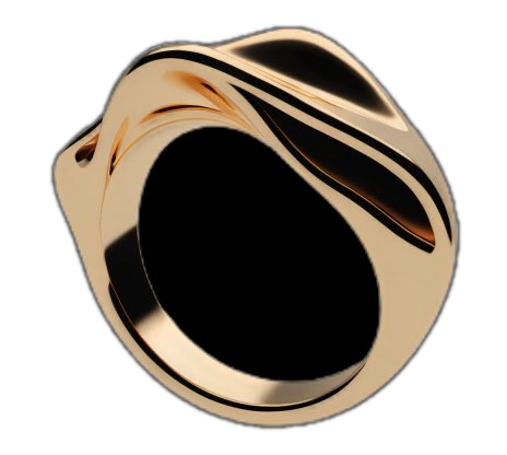 Complex organic jewellery design wax printing Perth